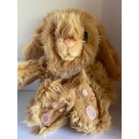 Brown rabbit