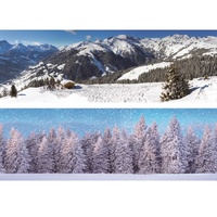 Background double sided. Winter Sport/Forest