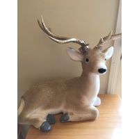 Sitting deer